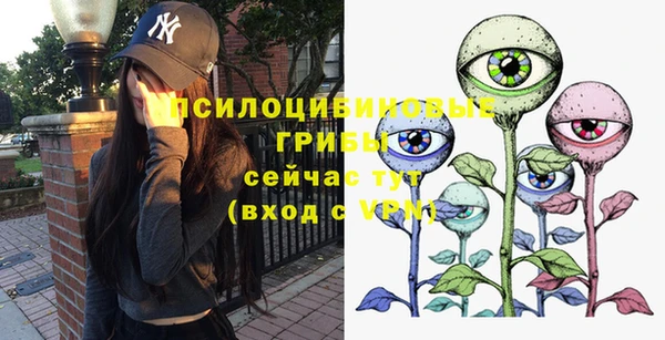 стафф Верея