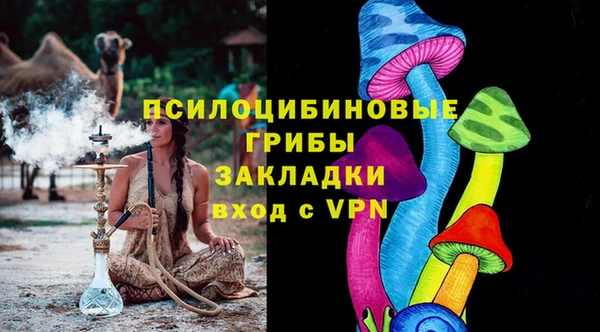 индика Навашино