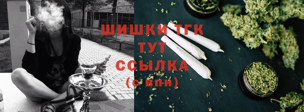 индика Навашино