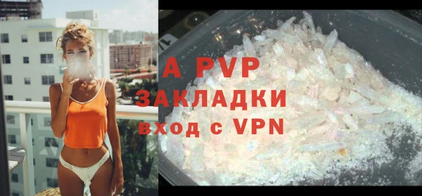 крисы Наволоки