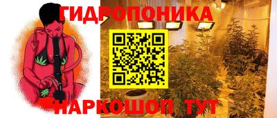 стафф Канаш