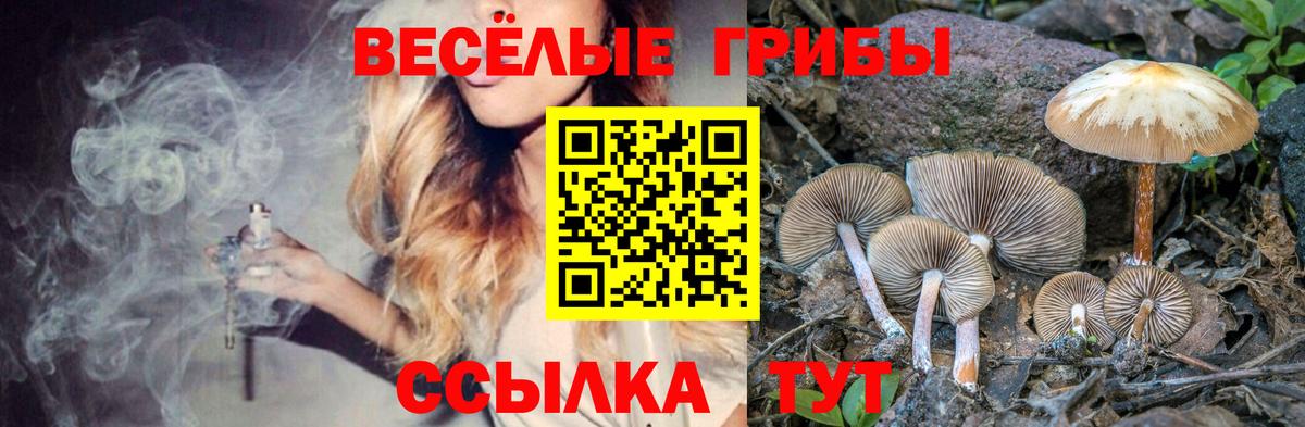 АМФ кристаллы  Мефедрон  Гашиш  Кизляр  КОКАИН  Меф МЯУ МЯУ   КЕТАМИН  Марихуана  Вход с VPN 