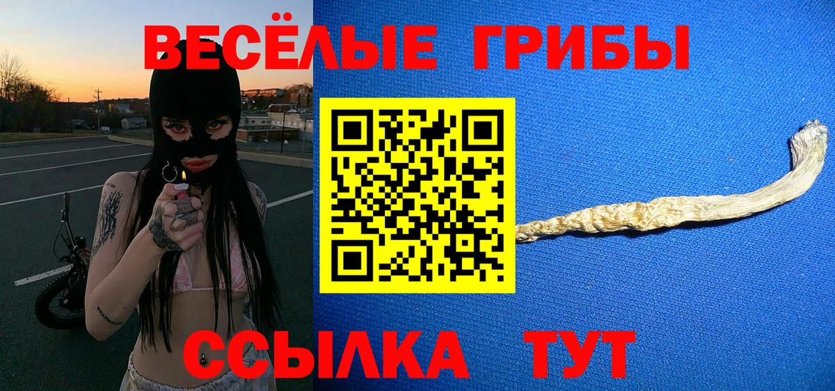 Галлюциногенные грибы Cubensis Кизляр
