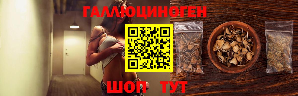 Псилоцибиновые грибы мухоморы  Вход с VPN  Кизляр  купить наркотик  Псилоцибиновые грибы мицелий 
